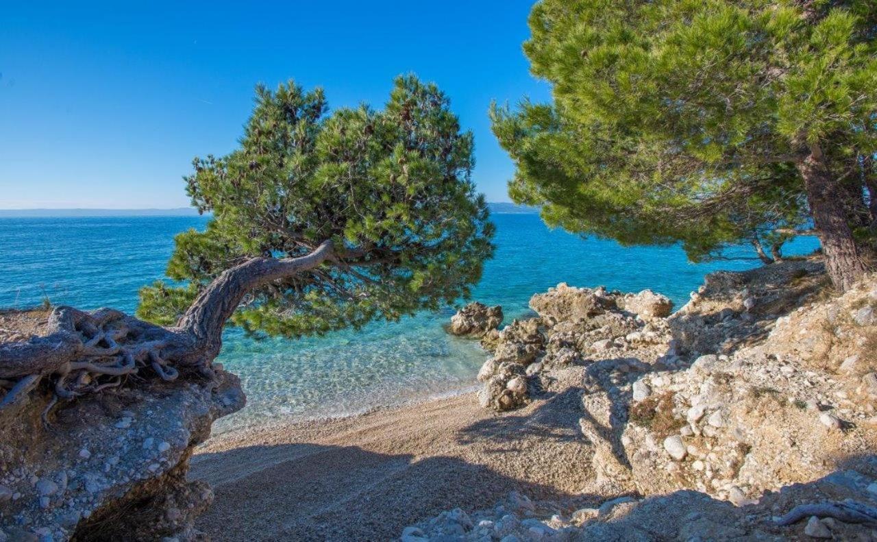 Apartman King Makarska Kültér fotó